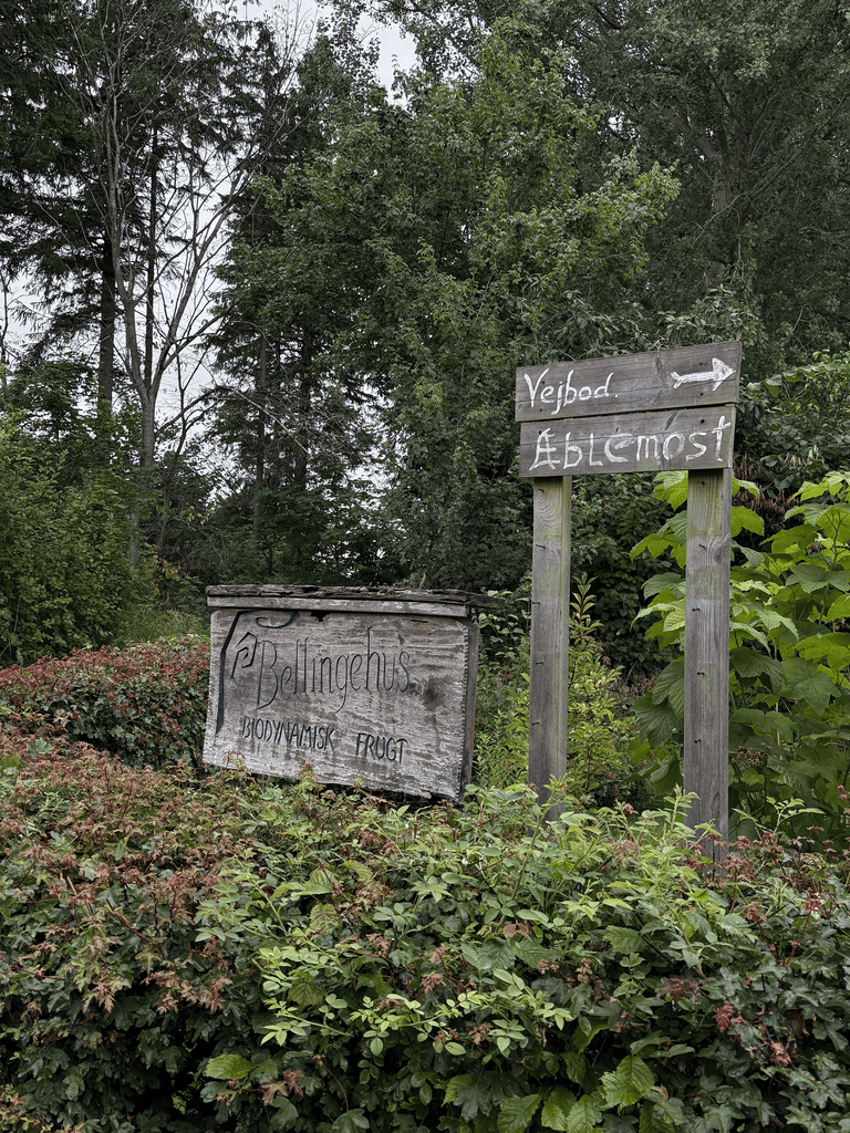 A Trip To Bellingehus
